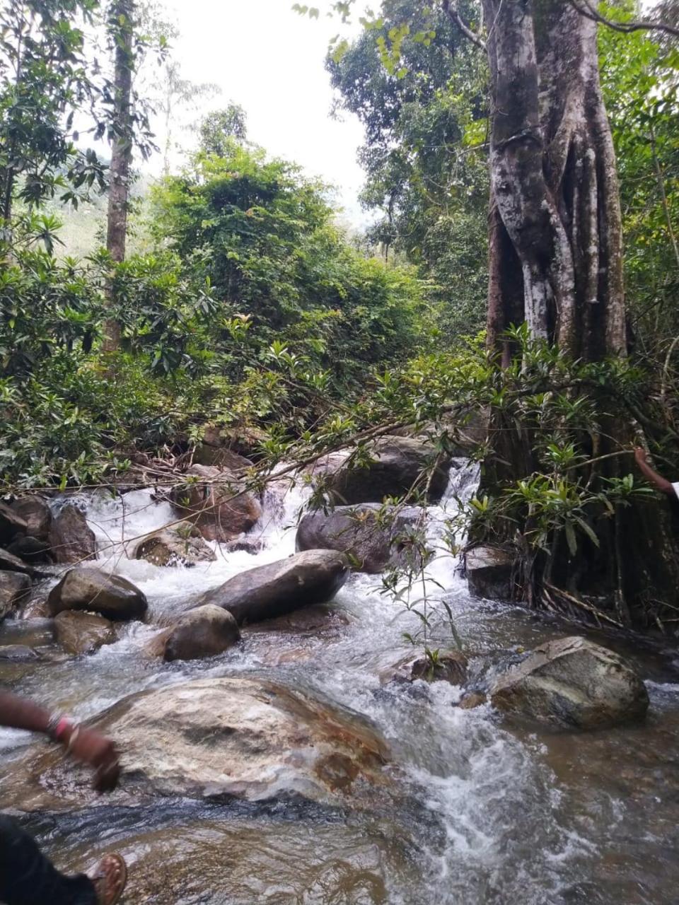 Mistywindvalley Kudayattur Exterior photo